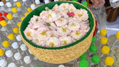 گلاب گیلده